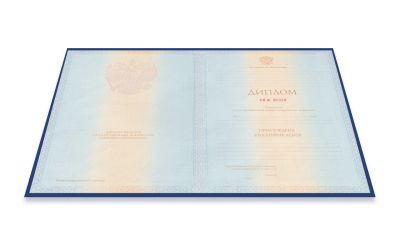 Диплом специалиста 2004-2008